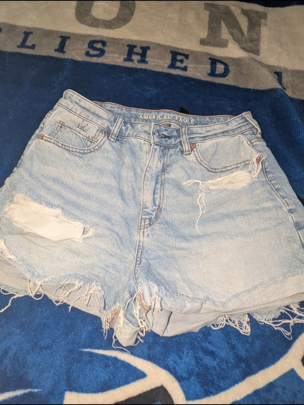 American Eagle Outfitters Light Blue Distressed Denim Shorts